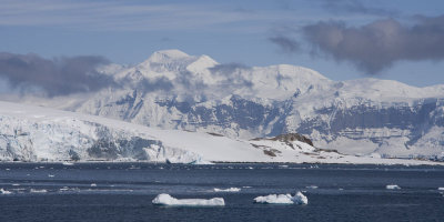 Antarctica 041