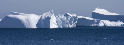 Antarctica 043