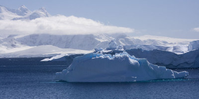 Antarctica 044