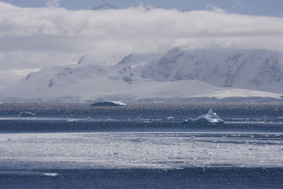 Antarctica 053