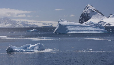 Antarctica 056