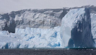 Antarctica 068