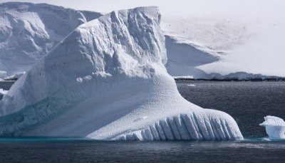 Antarctica 071