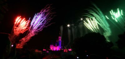 IMG_8385_resize.jpg