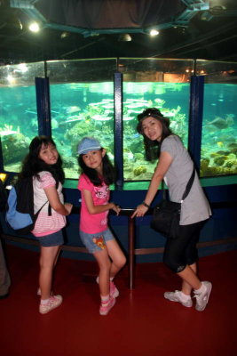 IMG_7661_resize.jpg