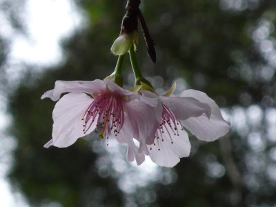 P1090161.JPG