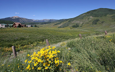 Near Mt Crested Butte