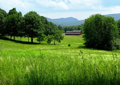 June in the Berkshires