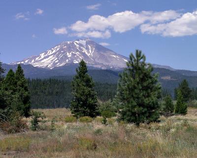 Mt Shasta 14,162 ft.