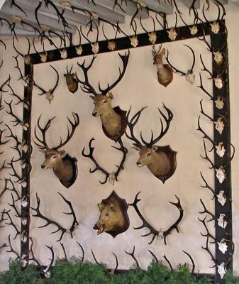 g3/24/609524/3/52748484.antlersrsz.jpg
