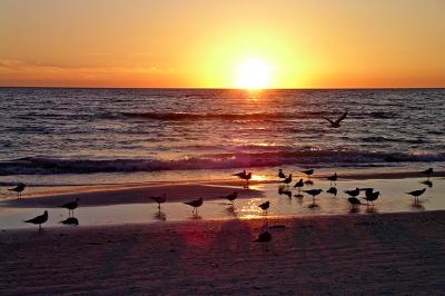 g3/24/609524/3/52833761.gulfsunsetrsz.jpg