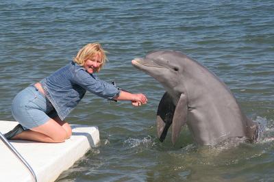 A Lady with a Porpoise
