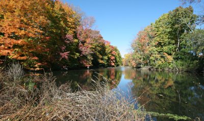 October at the Vassar Farms Pond