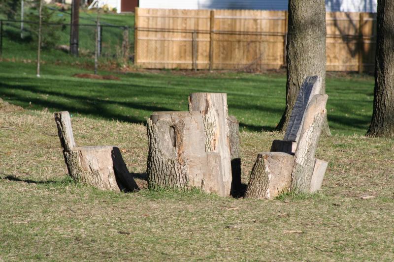 A table and chairs made out of an existing group of tree trunks....pretty creative.