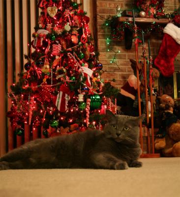 Um, yes.....it was the holidays.