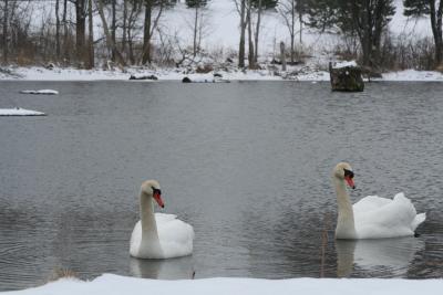 ...then there were two....