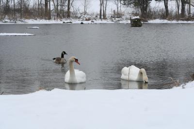 Yet another visitor joins the group, Im a popular person, what can I say....
