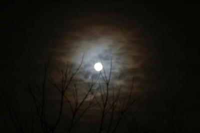 Moody picture of the moon....oooo....spooky.
