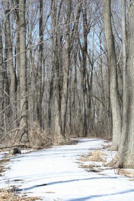 The path less taken....