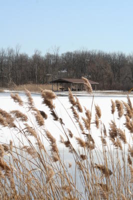 Lake Berry Nature Preserve '06