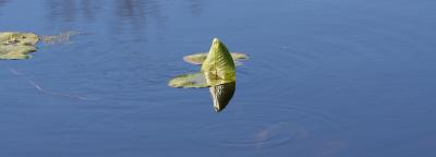 g3/24/623224/3/58903405.IMG_1602.jpg