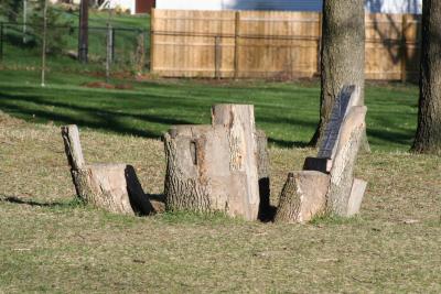 A table and chairs made out of an existing group of tree trunks....pretty creative.