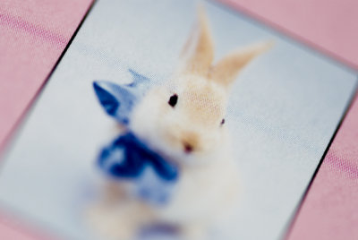 hoppy easter....