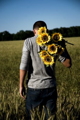 sunflowers & wheat...