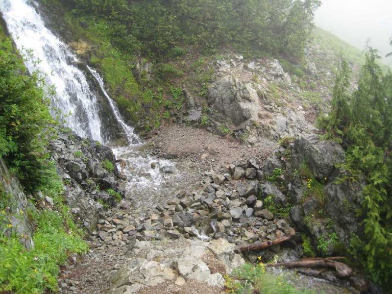 Cispus Basin Falls - repairs.jpg