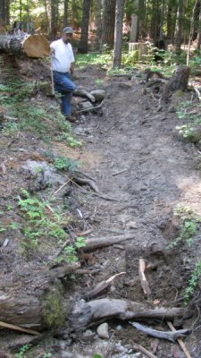 #7A Trail Damage.JPG