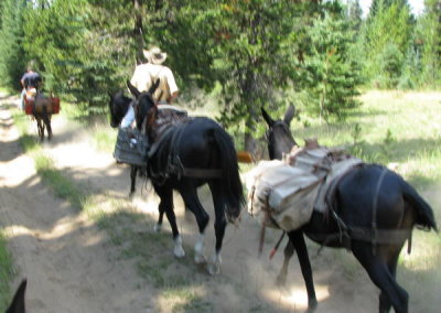 BCHW-LCC Trail Crew on PCT.JPG