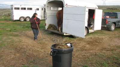 Haul it home loose in trailer