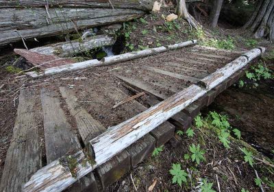 Rotted bridge plank on Packwood Lake trial