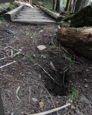 Hole in Packwood Lake trail