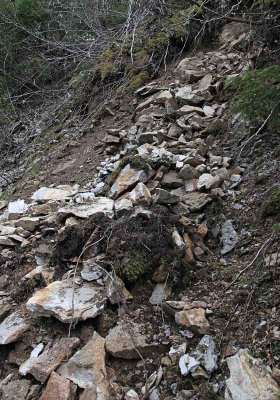 Rock Slide on Packwood Lake Trail, Looking up hill