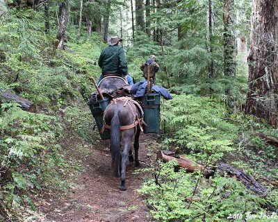 On the trail home