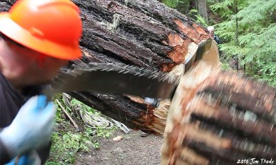Falling log 2