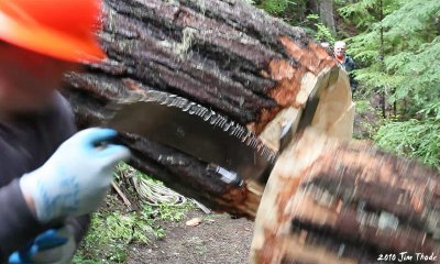 Falling log 4