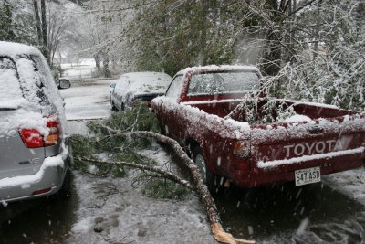 snow10.jpg