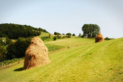 Hay there!