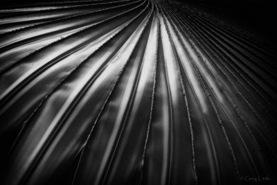 Convergence