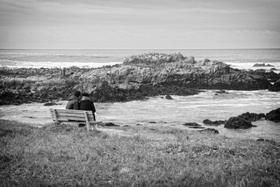 Central California Coast