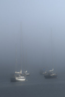 Harbor Fog.jpg