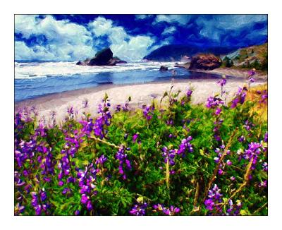 Lupine Beach