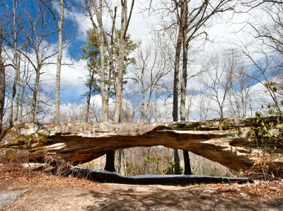 Daylight East Arch