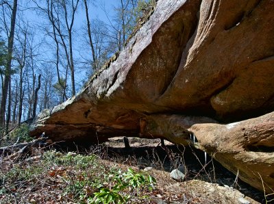 Auger Springs Arch