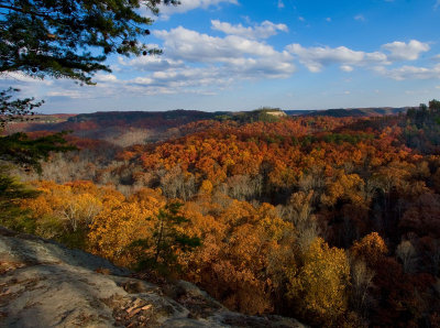 Auxier Ridge Trail Overlook