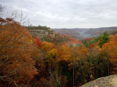 A view from the bridge