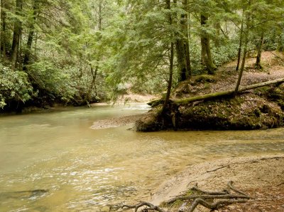 Confluence of Dog Fork and Swift Camp Creek