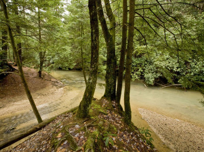 Confluence at Swift Camp Creek